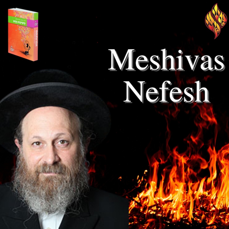 Artwork for podcast Recent Shiurim - Aish Kodesh