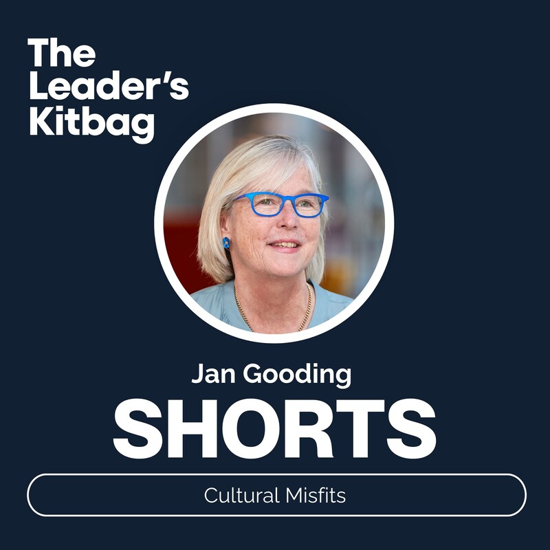 Artwork for podcast The Leader's Kitbag