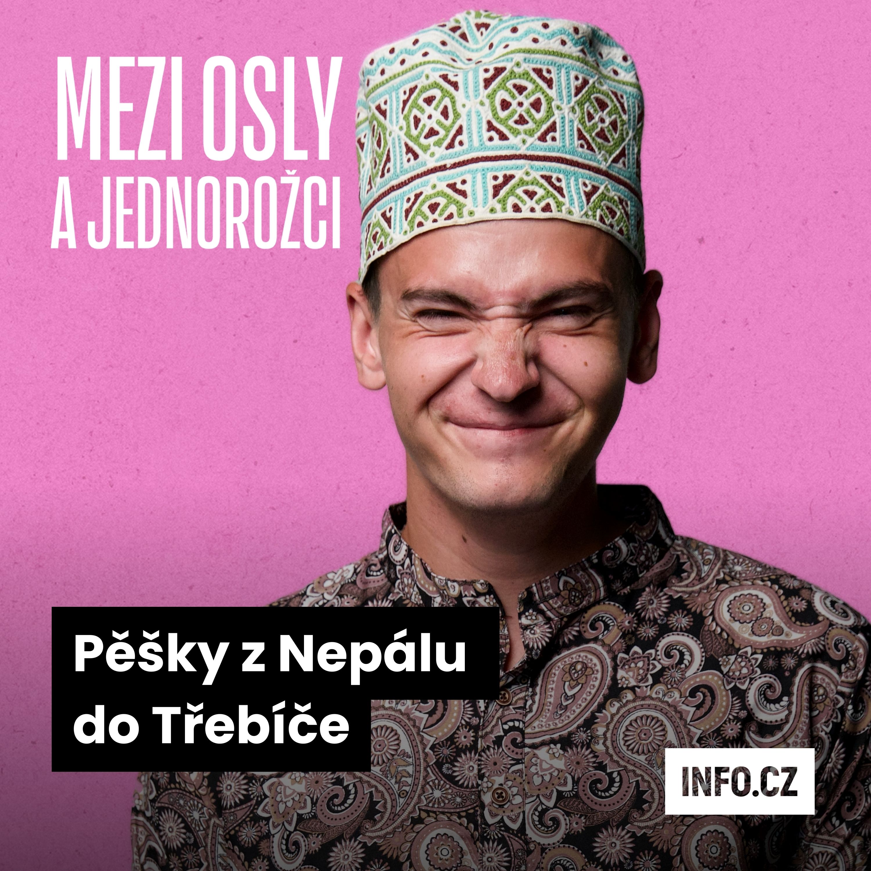 Mezi osly a jednorožci