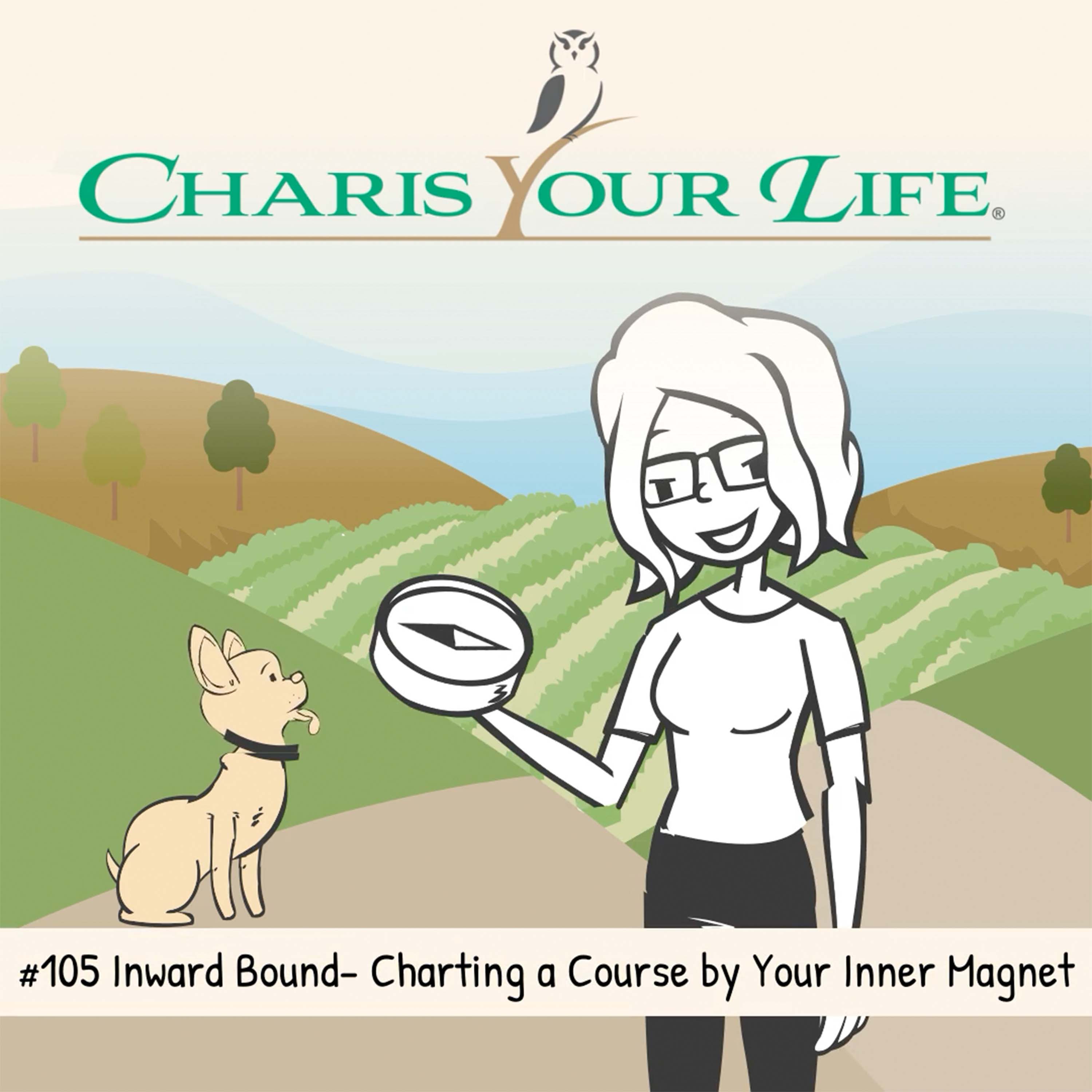 Inward Bound - Charting a Course by Your Inner Magnet