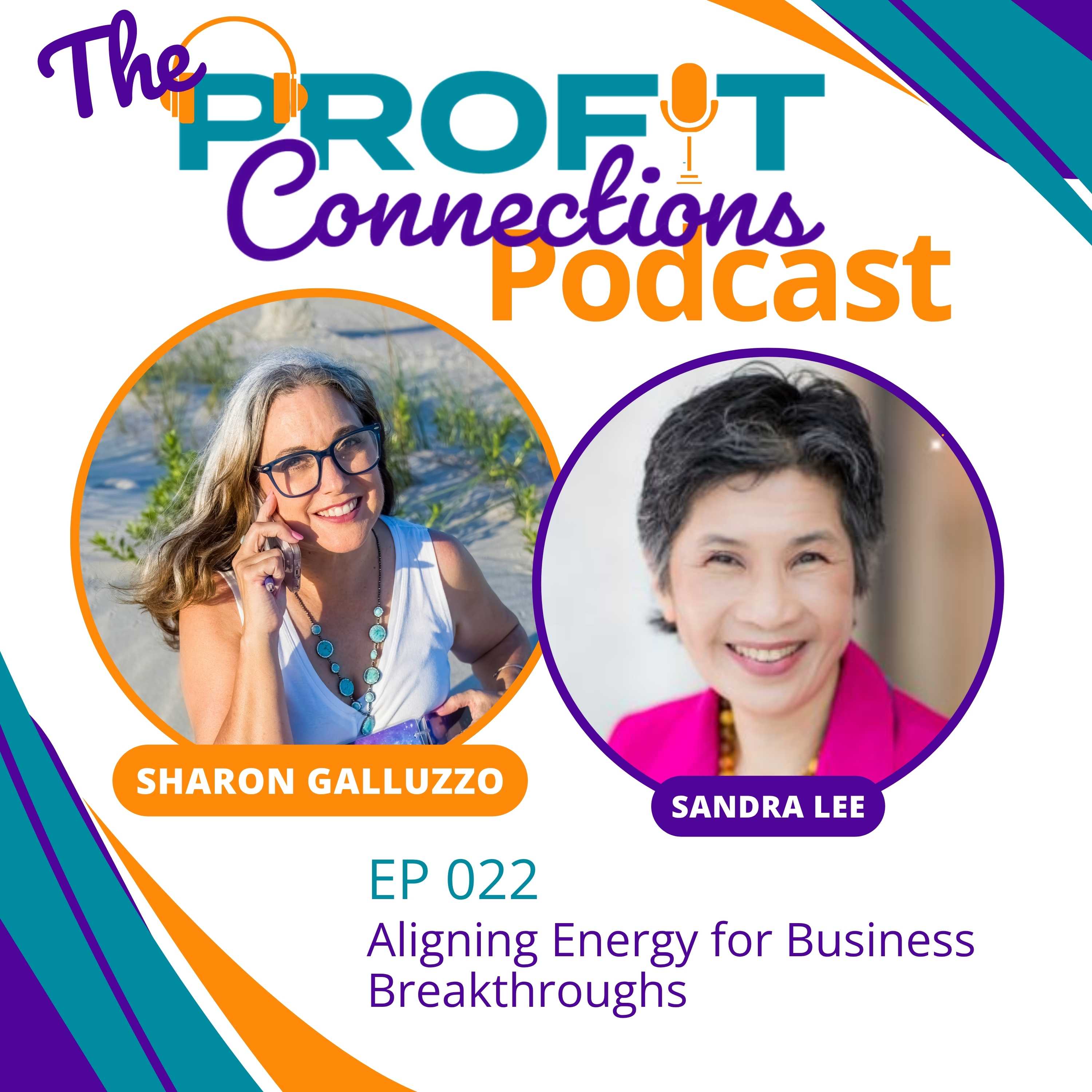 The Profit Connections Podcast