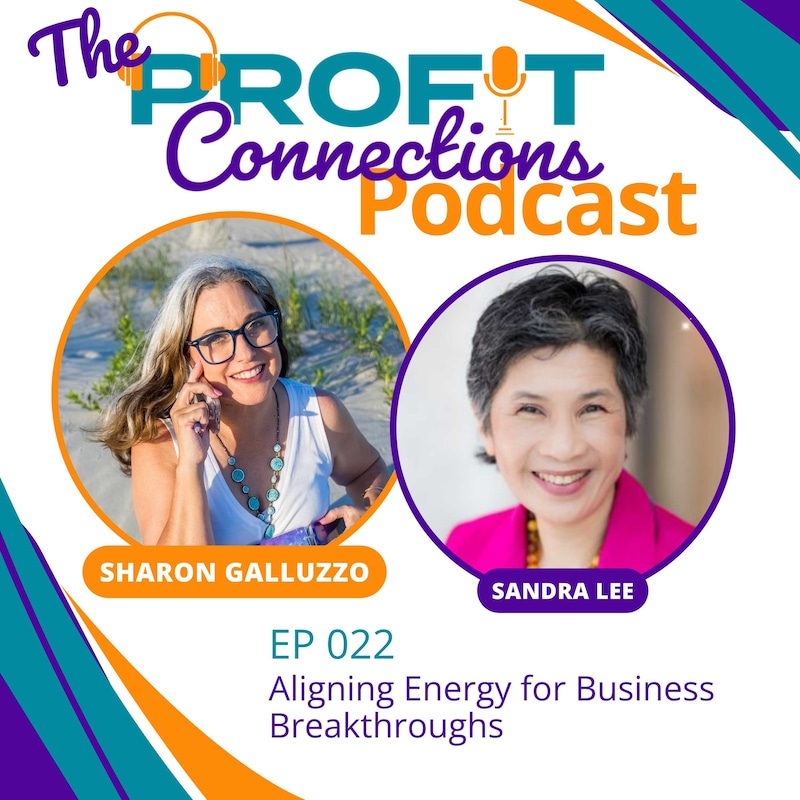 Artwork for podcast The Profit Connections Podcast