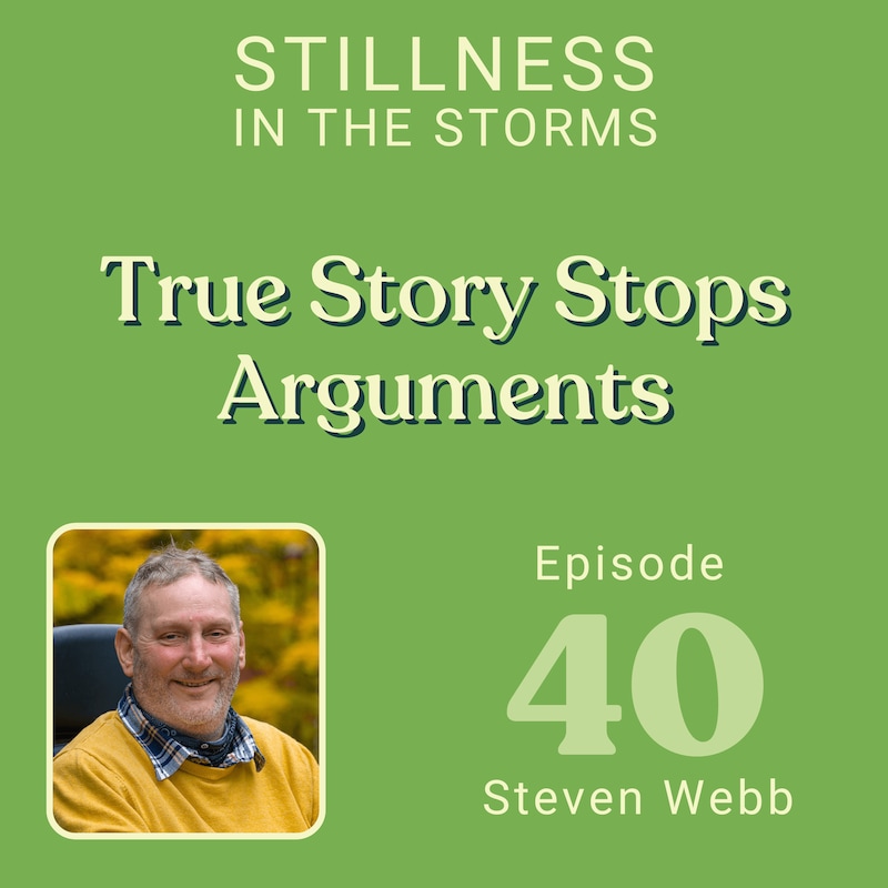 Artwork for podcast Stillness in the Storms