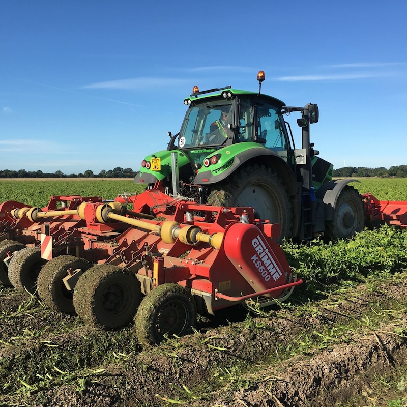 Artwork for podcast AHDB Food & Farming