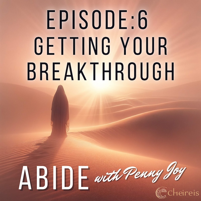 Artwork for podcast Abide