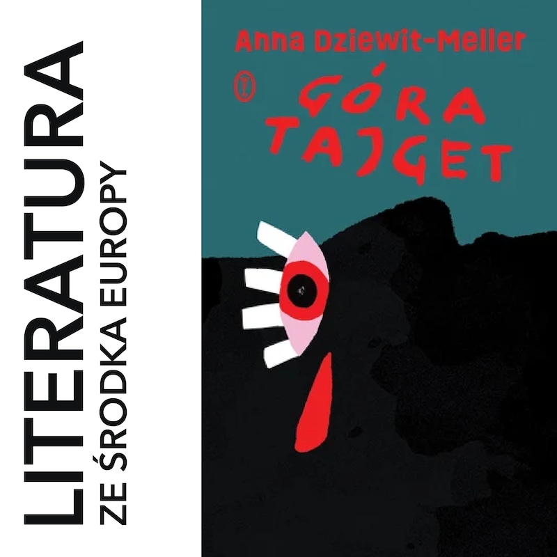 Artwork for podcast literatura ze środka Europy