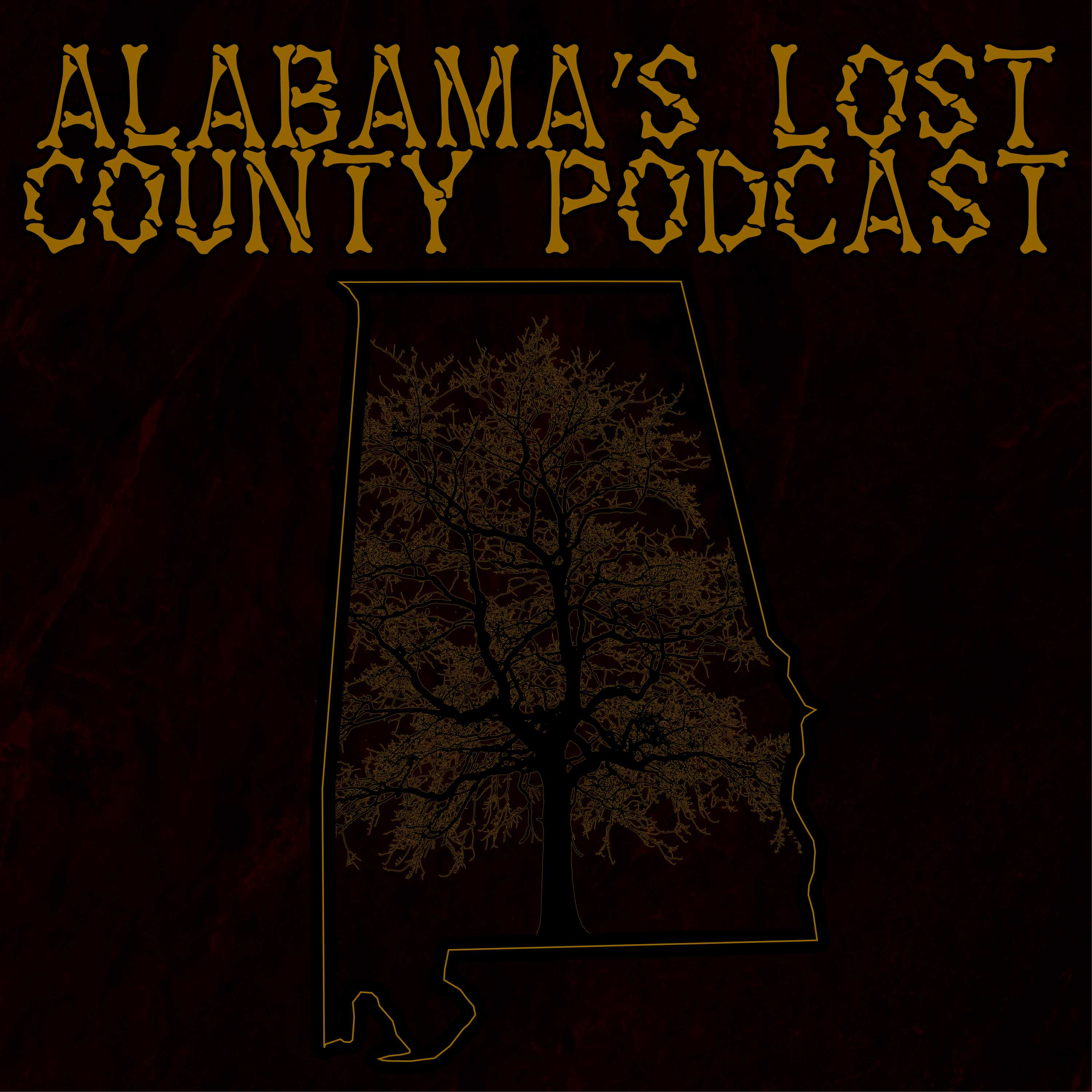 Artwork for Alabama's Lost County