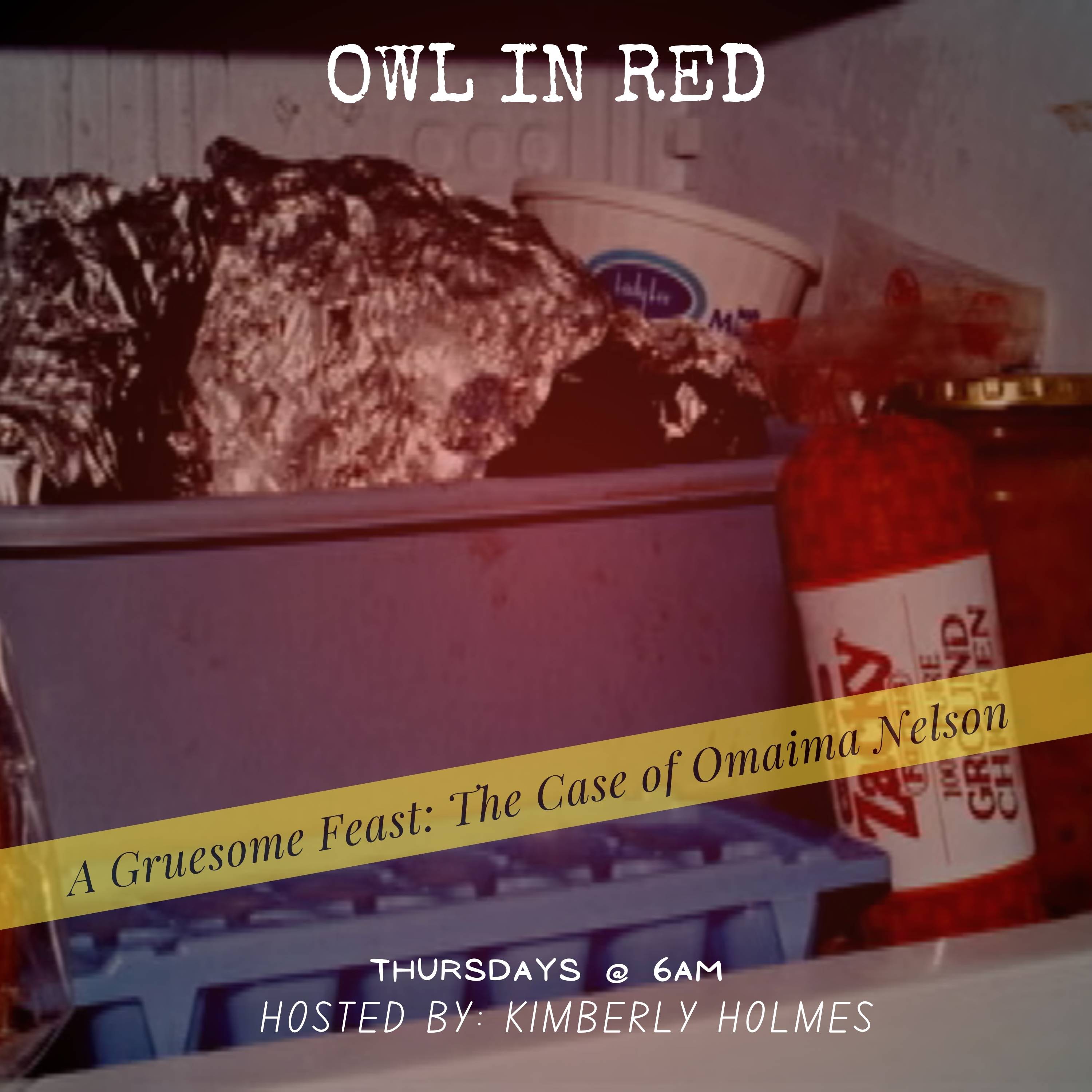 Owl In Red