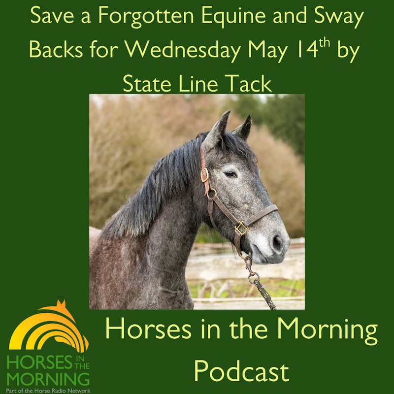 Artwork for podcast HORSES IN THE MORNING