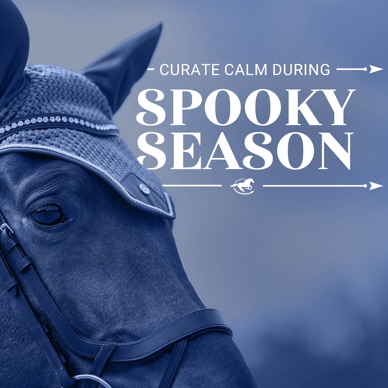Artwork for podcast The Horse HealthCast with SmartEquine