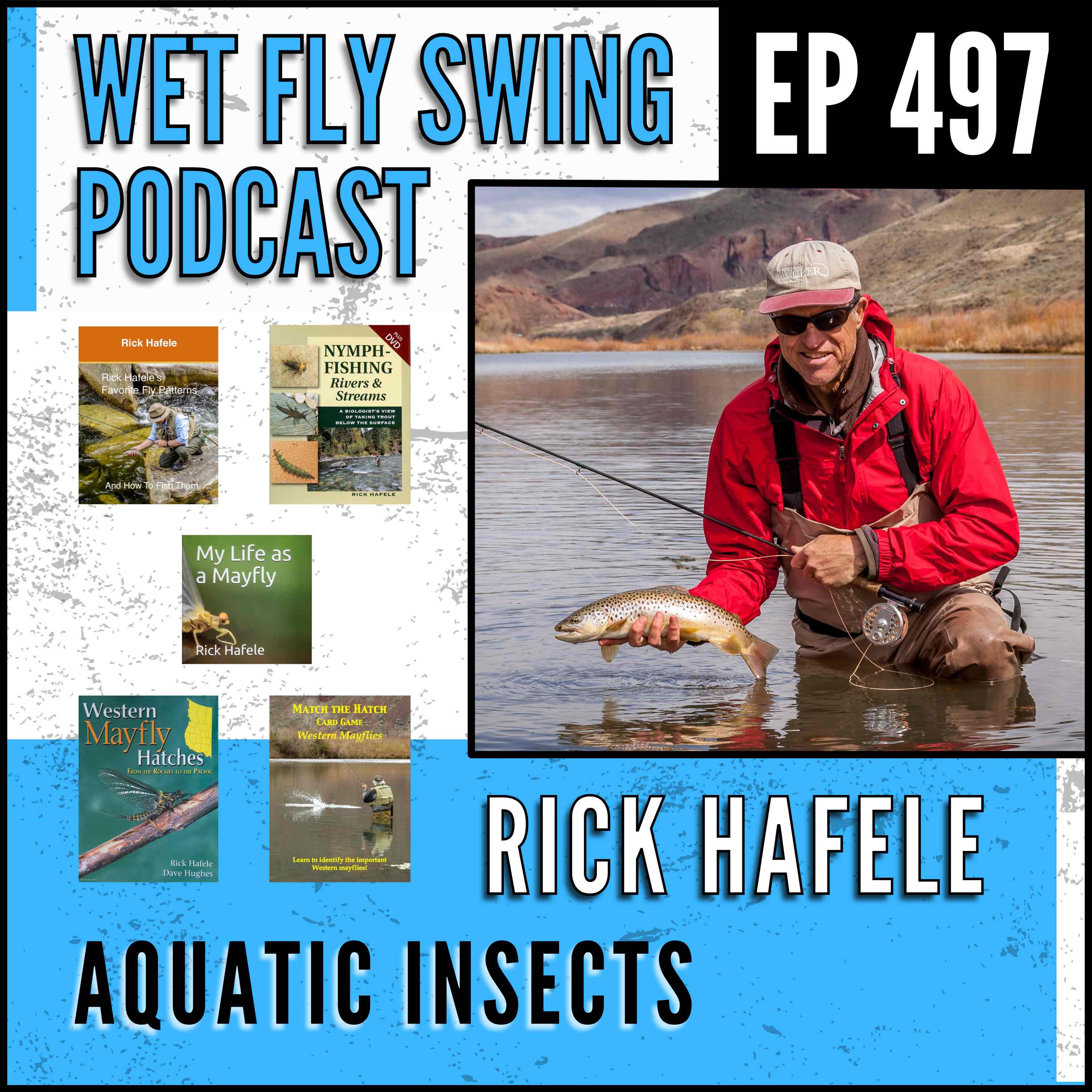 WFS 497 - Aquatic Insects with Rick Hafele - Eastern Caddisflies, Western Mayflies, Entomology episode artwork