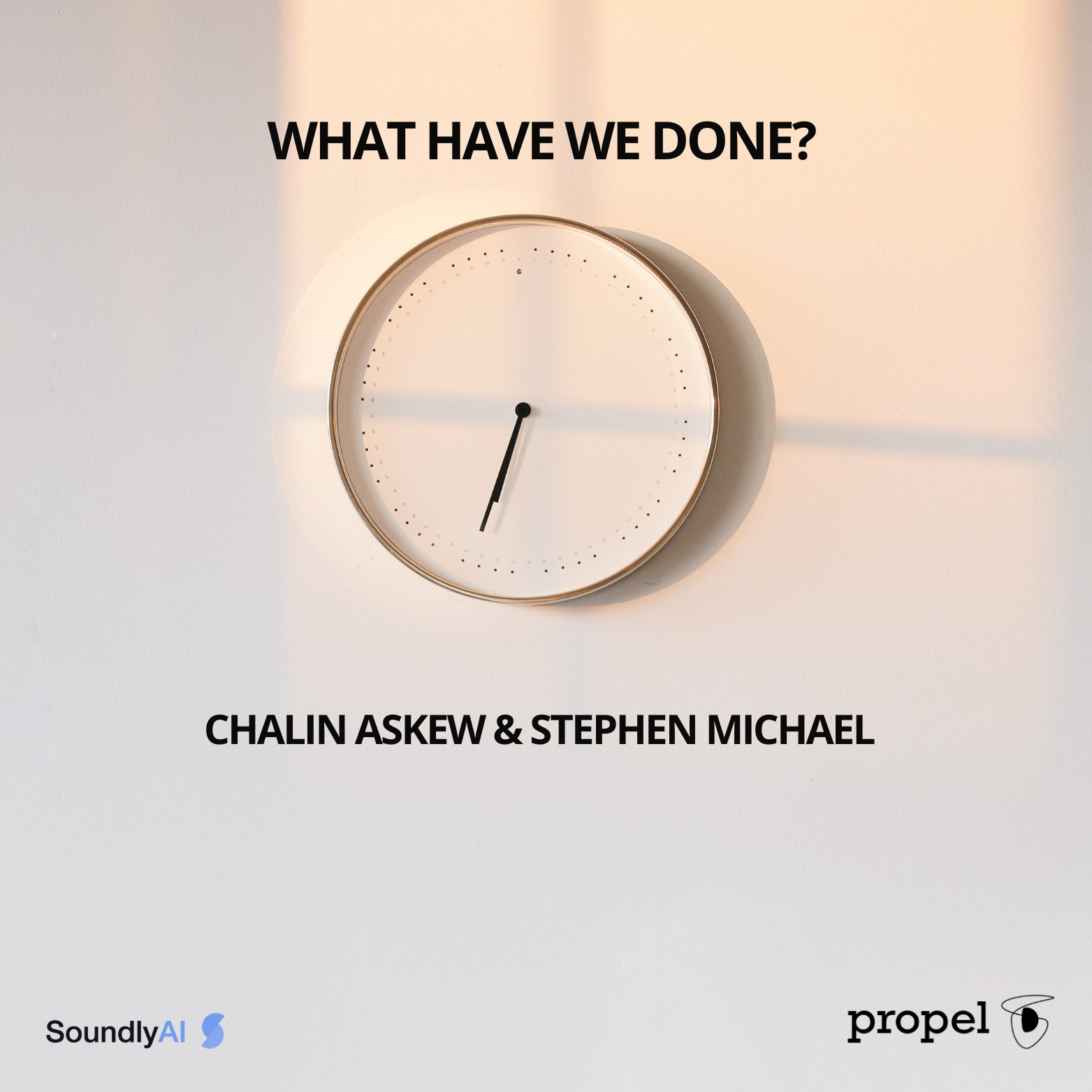 Artwork for What Have We Done?