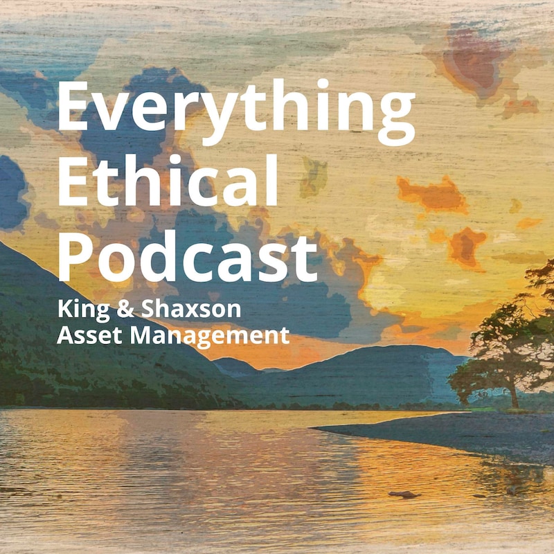 Artwork for podcast Everything Ethical