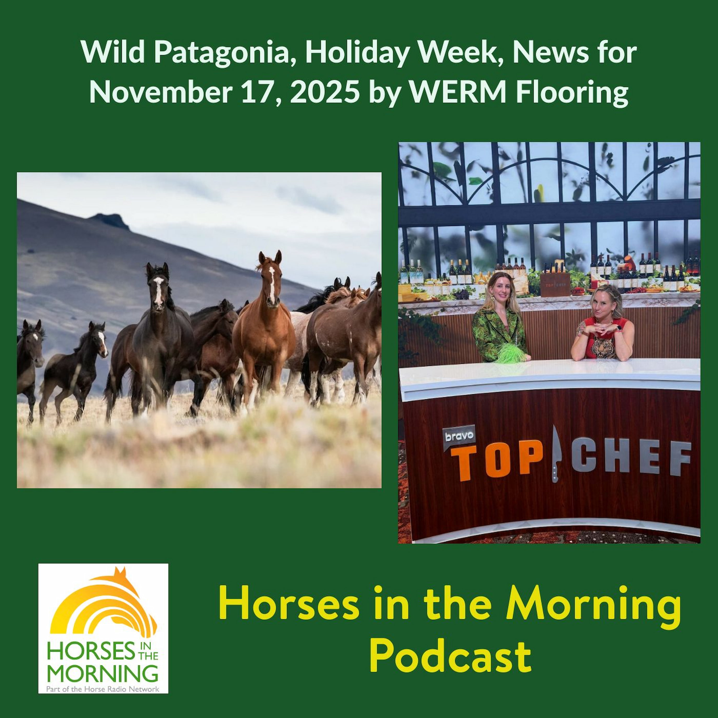Wild Patagonia, Holiday Week, News for November 17, 2025 by WERM Flooring Wild Patagonia, Holiday Week, News for November 17, 2025 by WERM Flooring