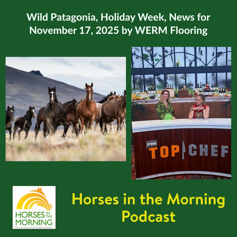 Artwork for podcast Horses in the Morning