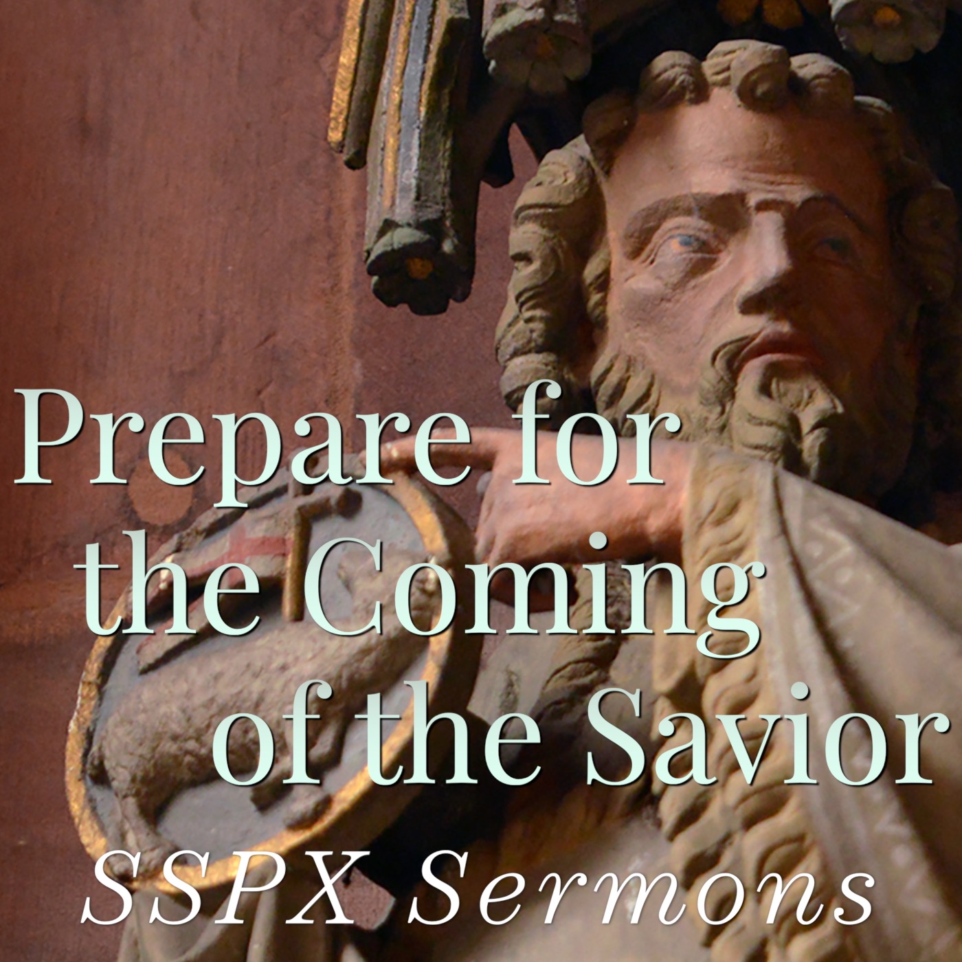 Prepare for the Coming of the Savior – SSPX Sermons