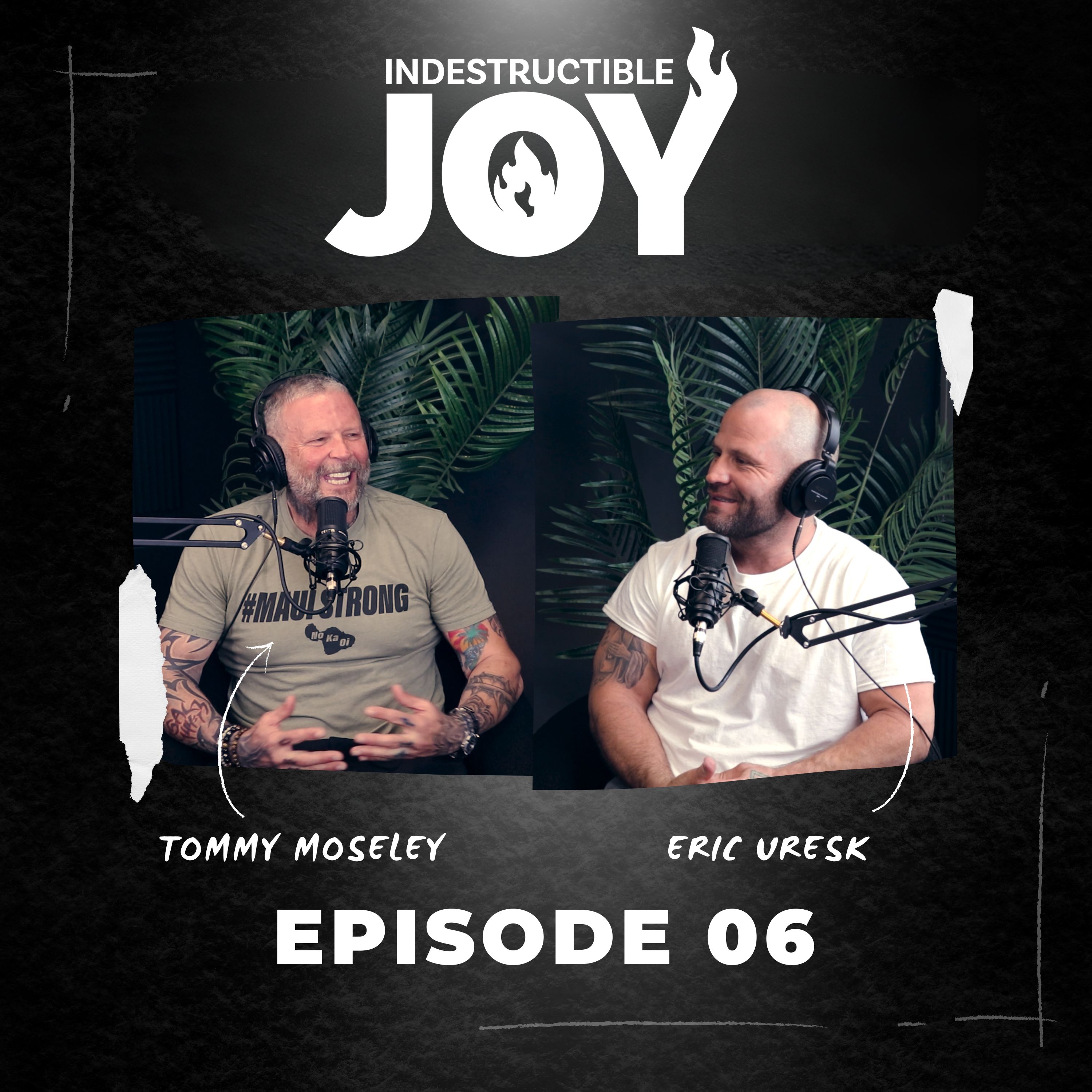 Indestructible Joy