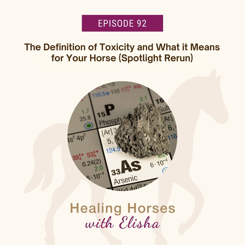 Artwork for podcast Healing Horses with Elisha