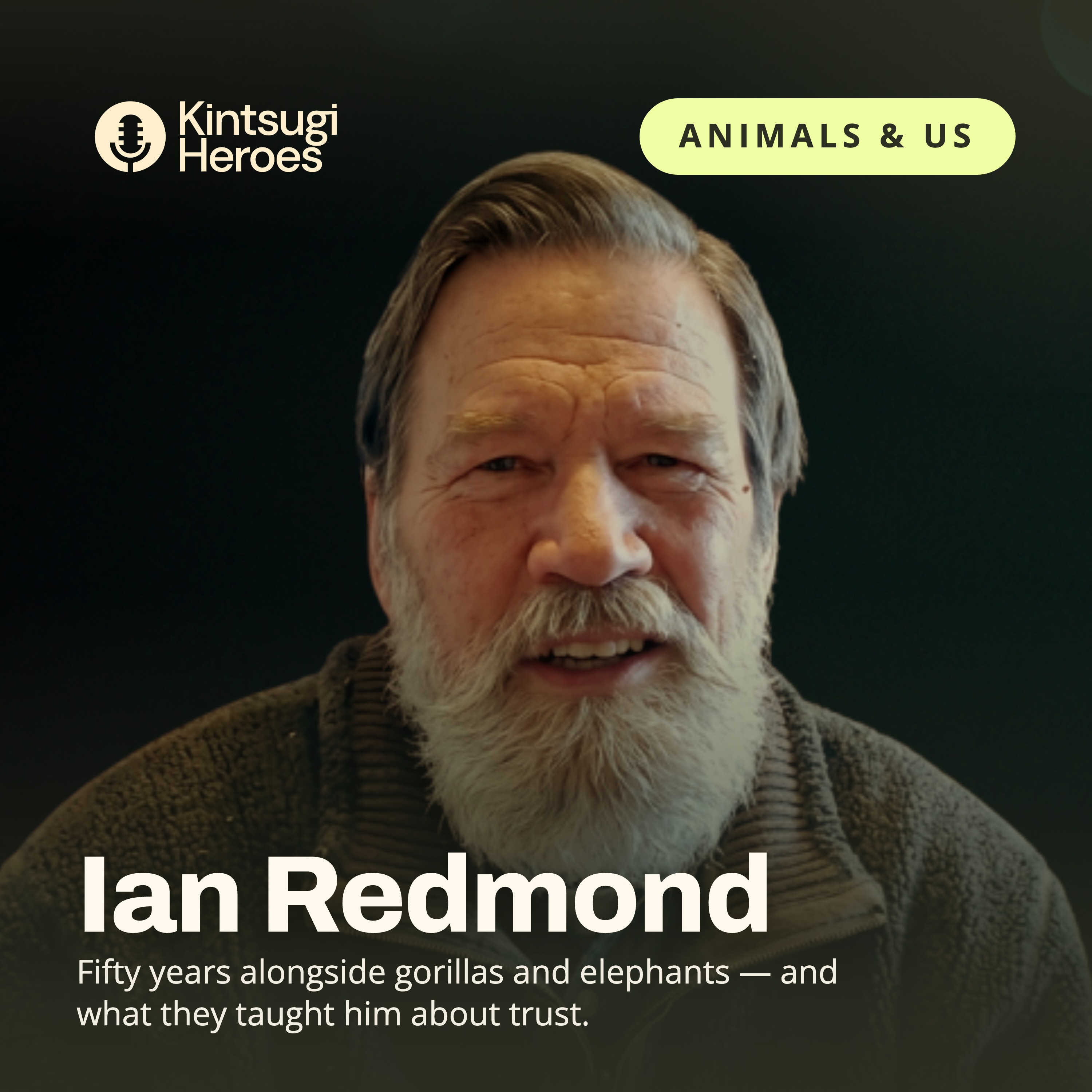 Ian Redmond: Gorillas, Elephants and 50 Years in African Conservation | Animals & Us episode artwork