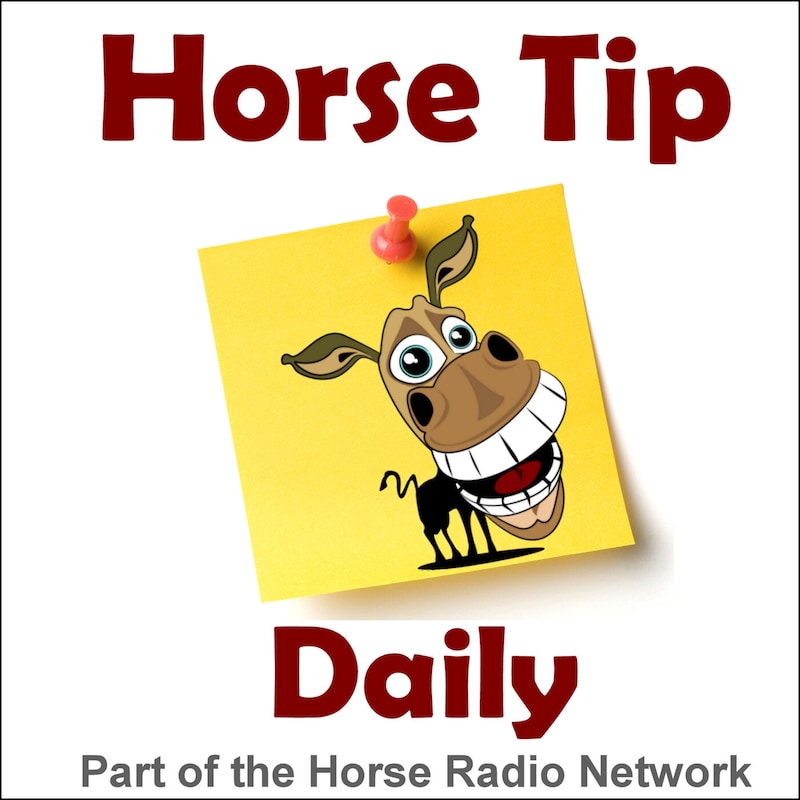 Artwork for podcast Horse Tip Daily