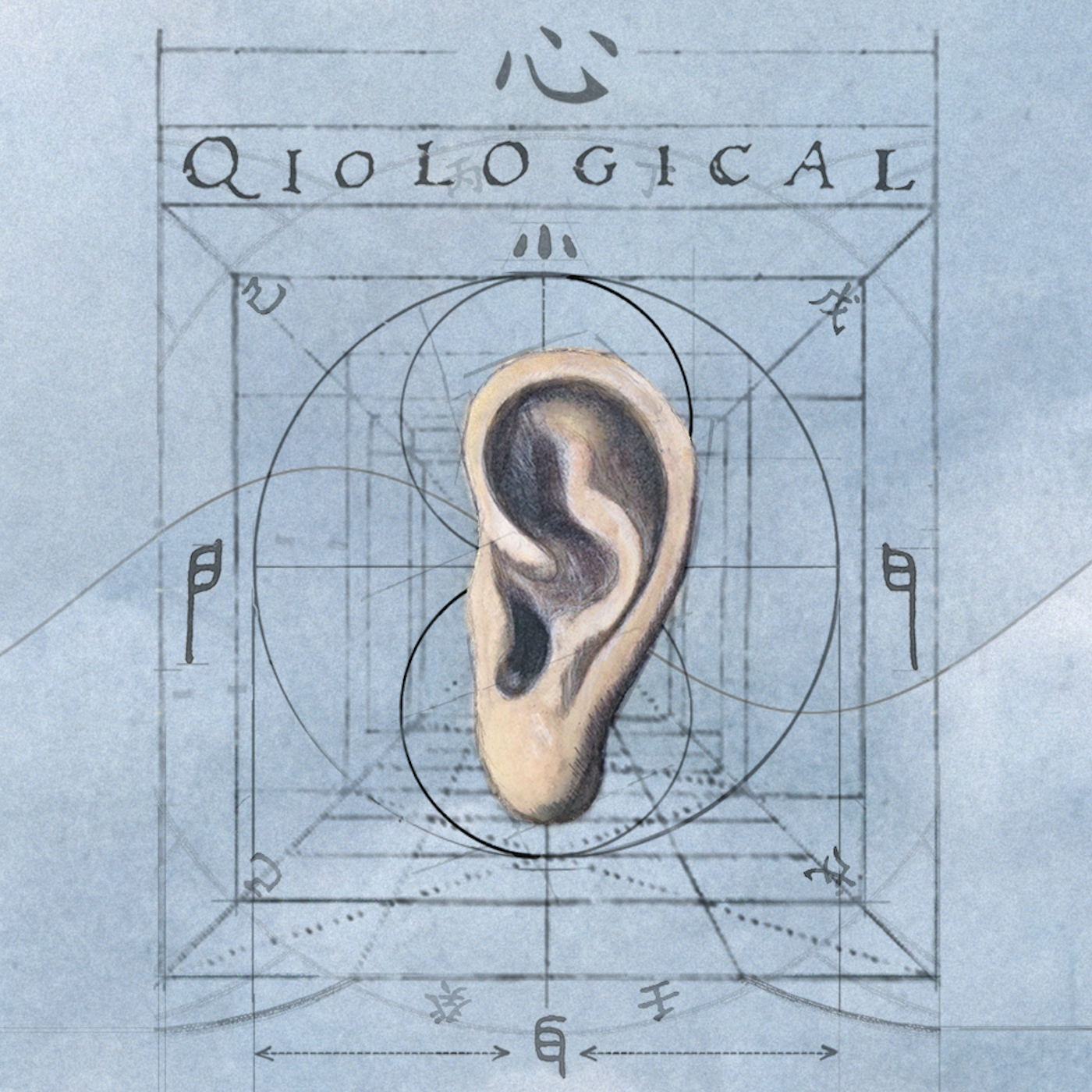 Artwork for podcast Qiological Podcast