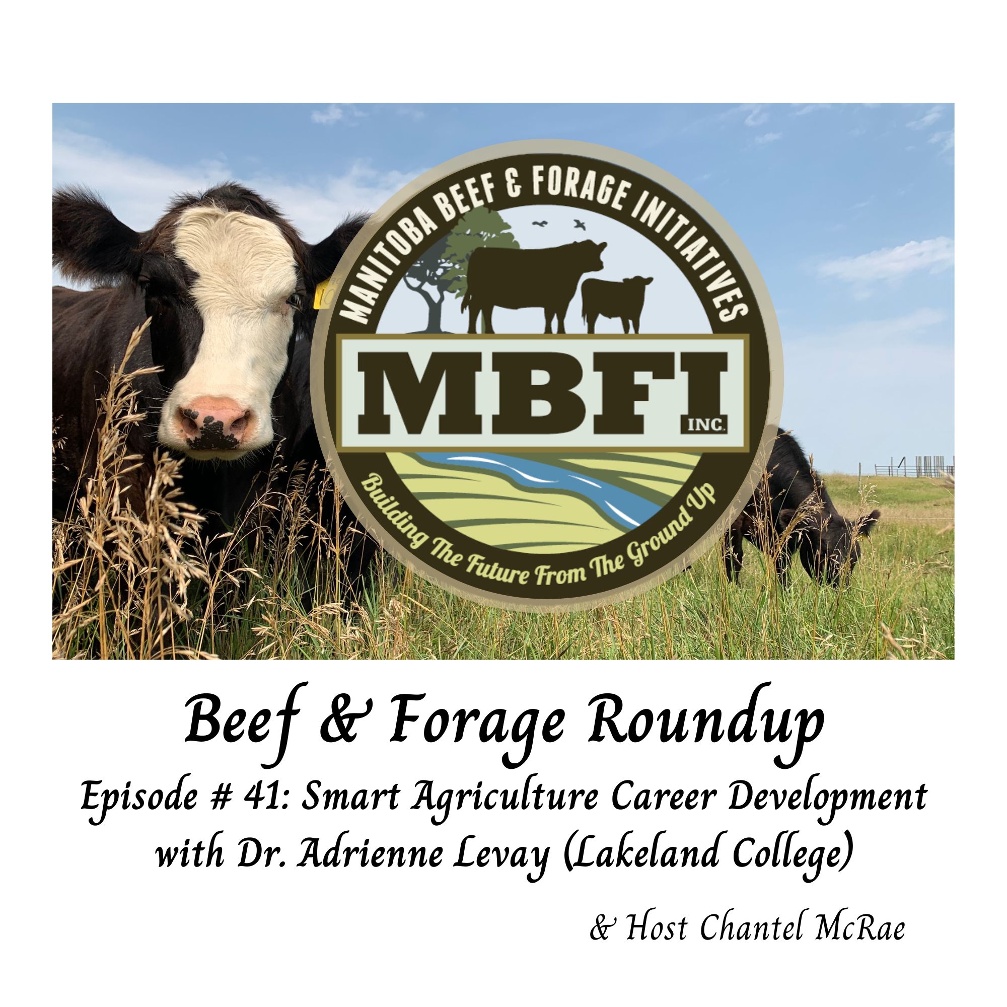 Beef and Forage Roundup