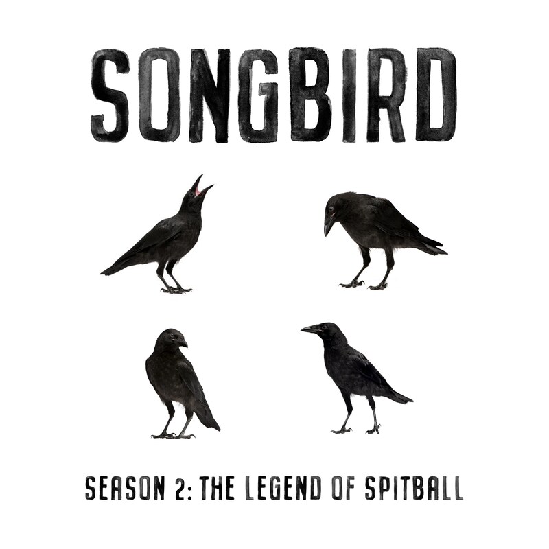 Artwork for podcast Songbird