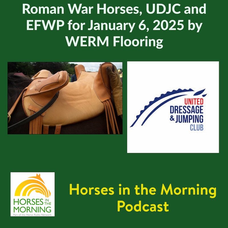 Artwork for podcast HORSES IN THE MORNING