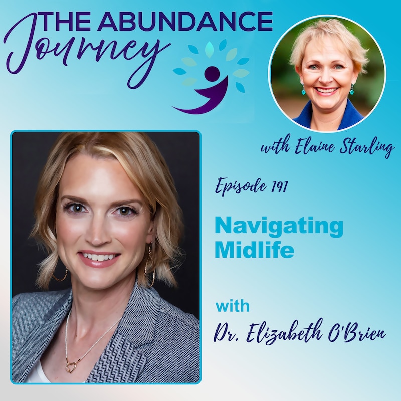 Artwork for podcast The Abundance Journey: Accelerating Revenue With An Abundance Mindset
