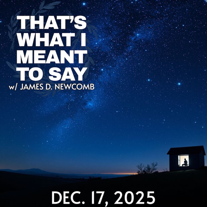 Artwork for podcast That's What I Meant to Say
