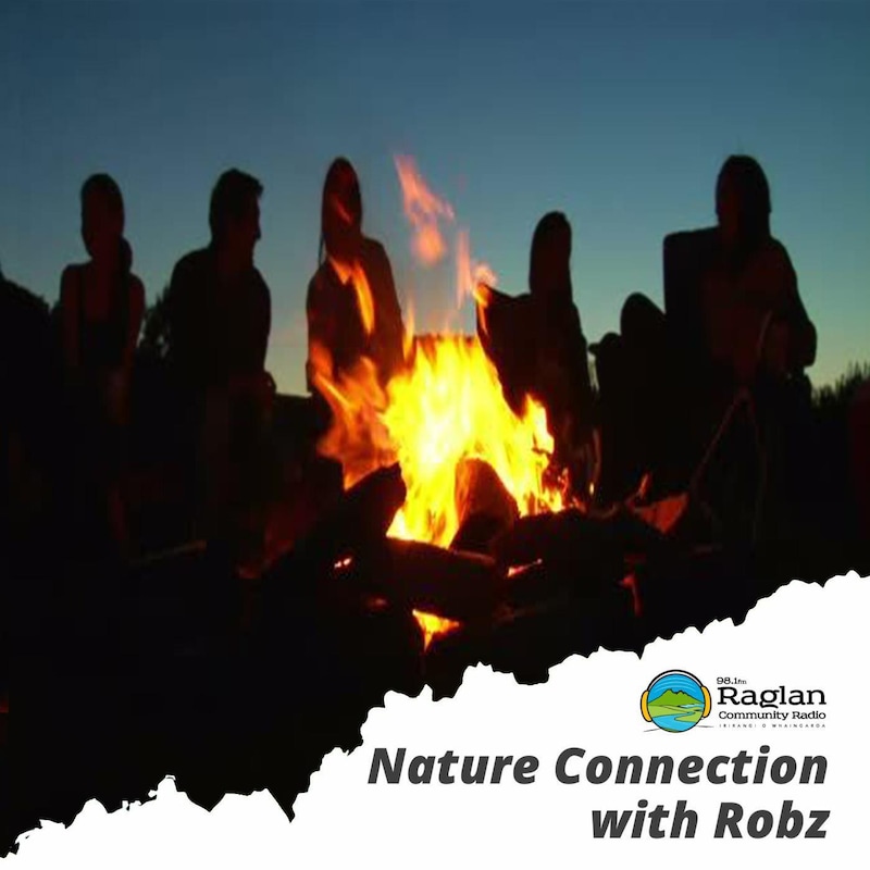 Artwork for podcast Nature Connection
