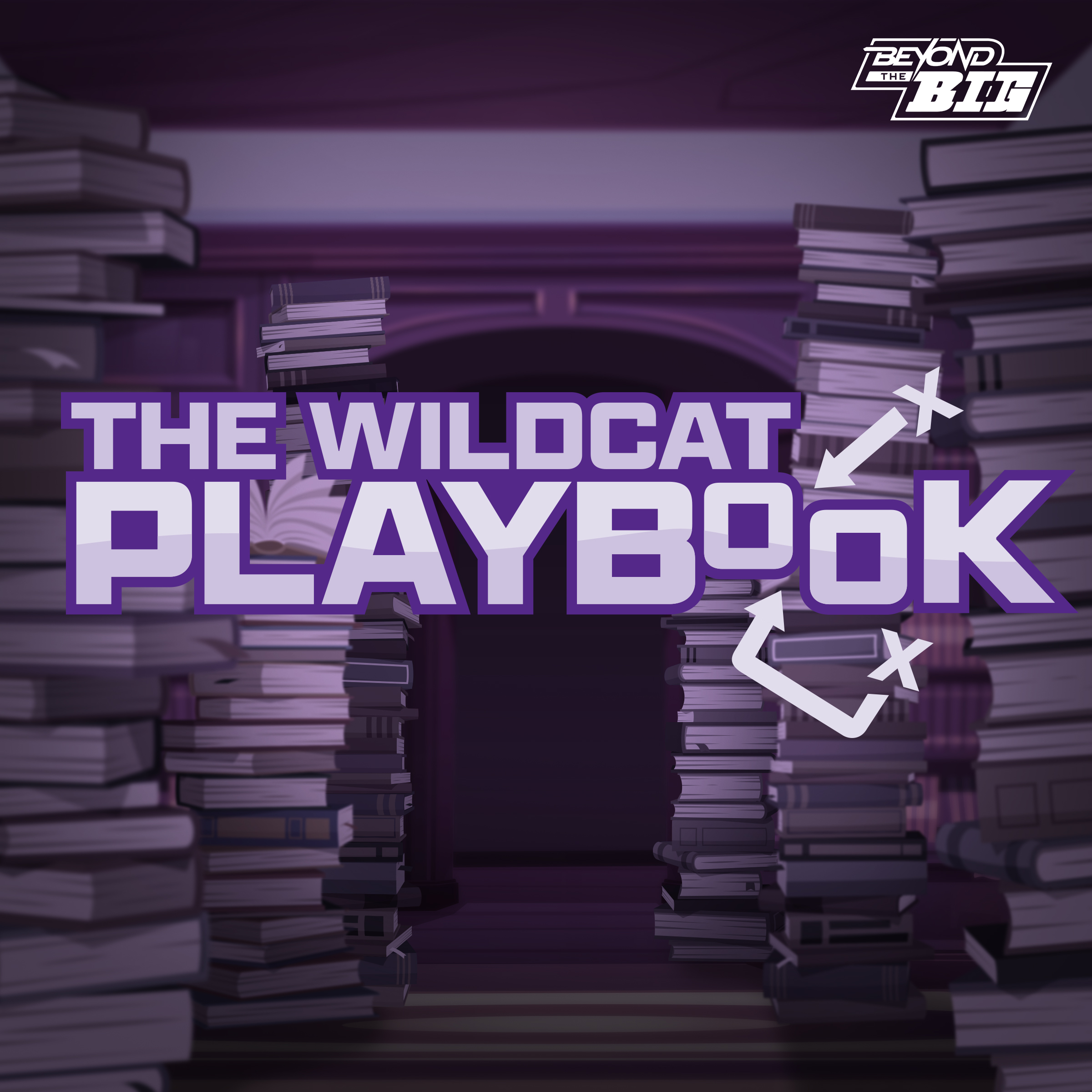 Artwork for The Wildcat Playbook