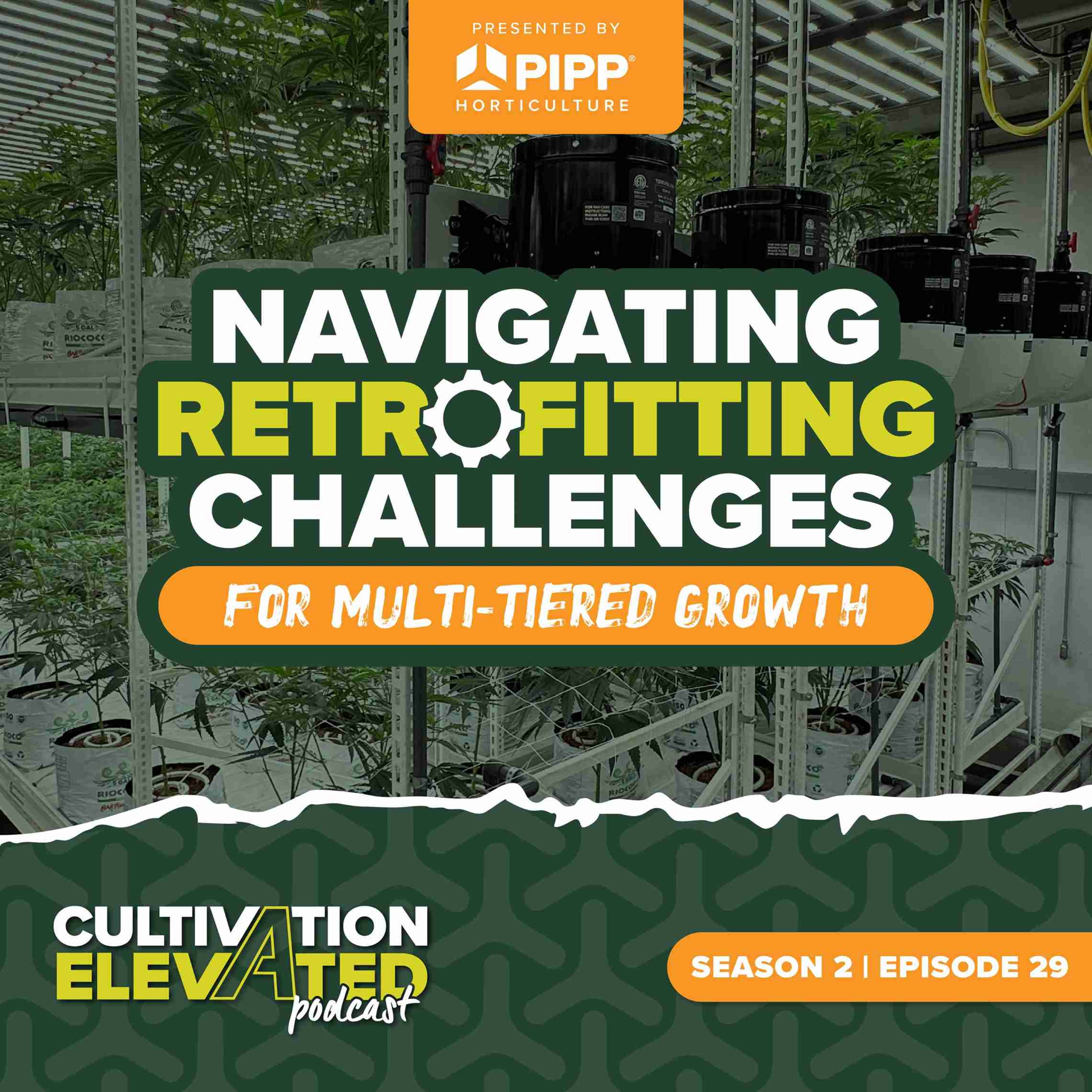 Cultivation Elevated - Indoor Farming, Cannabis Growers & Cultivators - Pipp Horticulture
