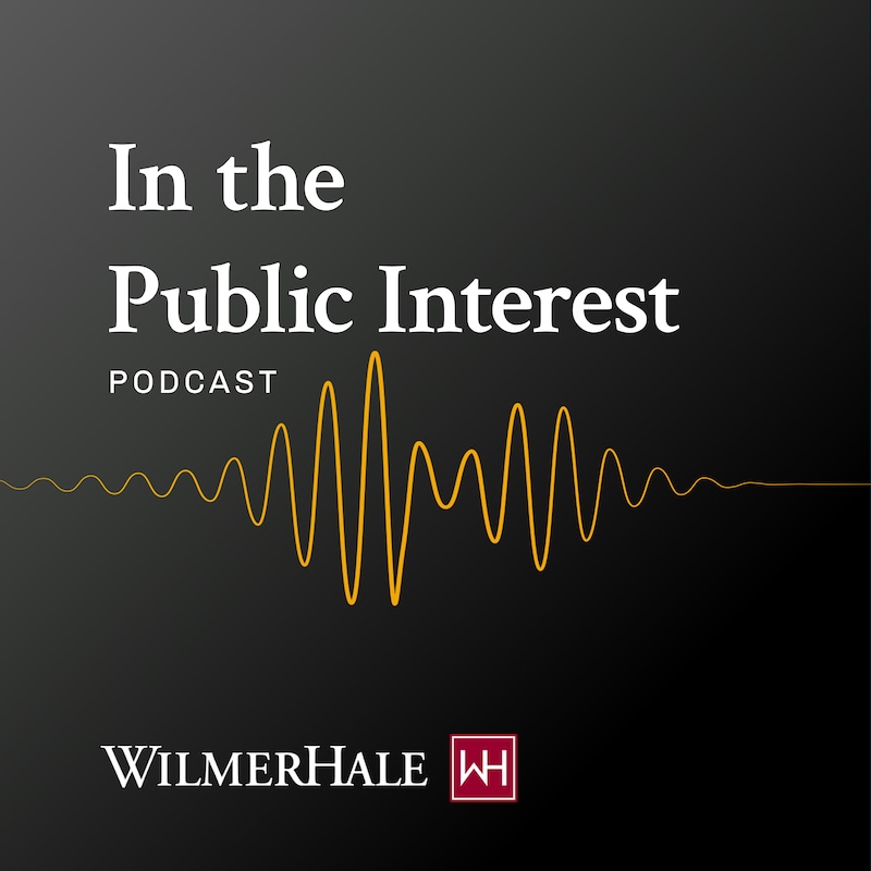 Artwork for podcast In the Public Interest