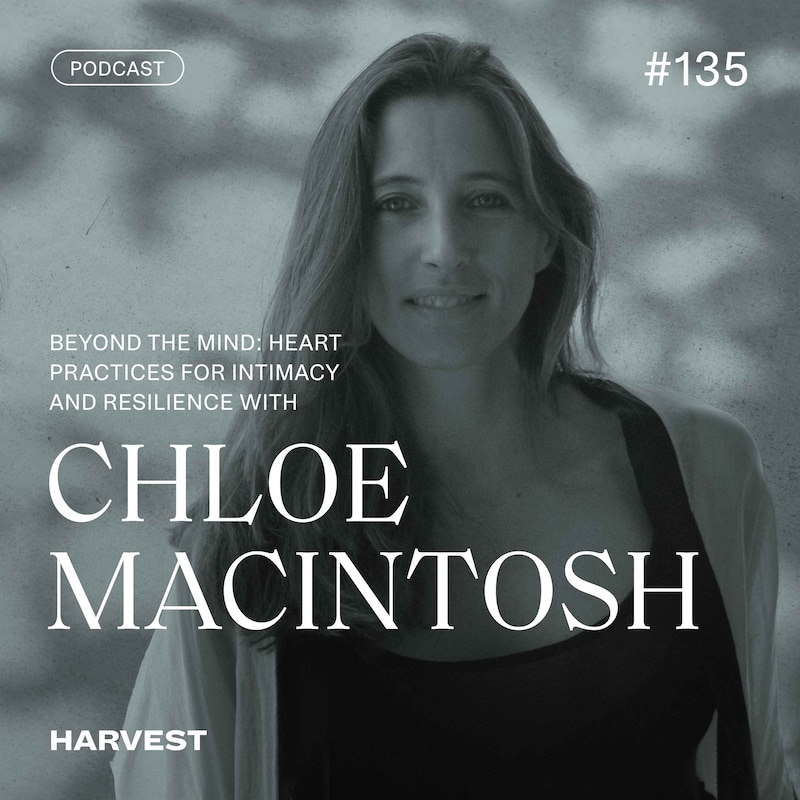 Artwork for podcast Harvest Series