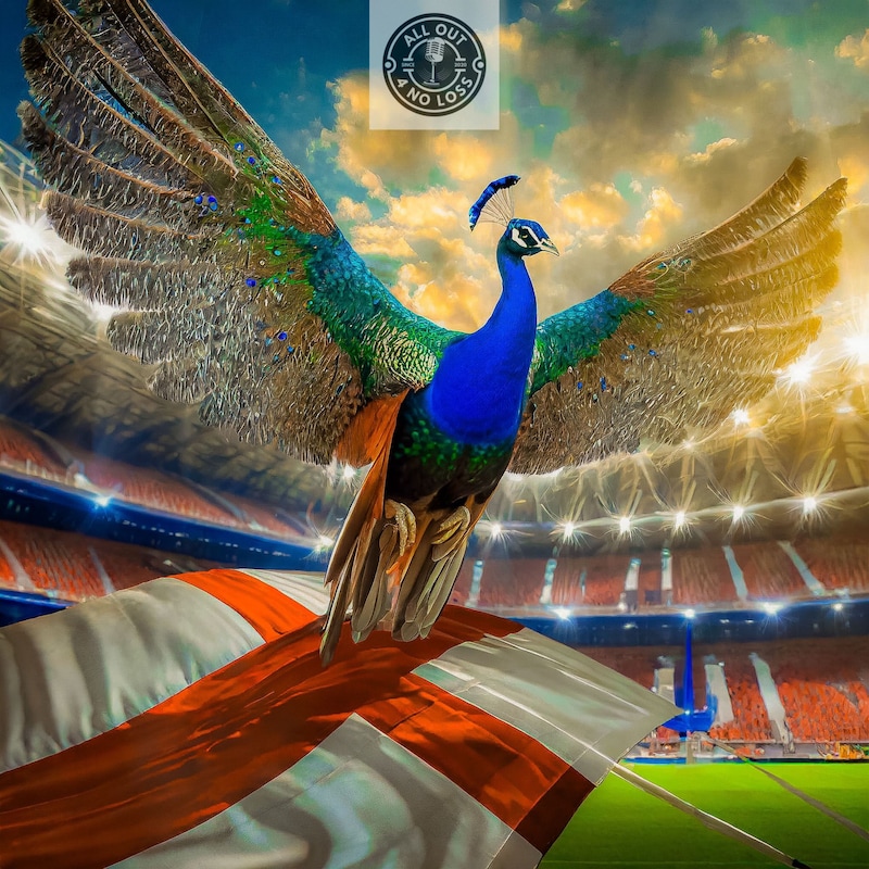 Artwork for podcast All Out For No Loss