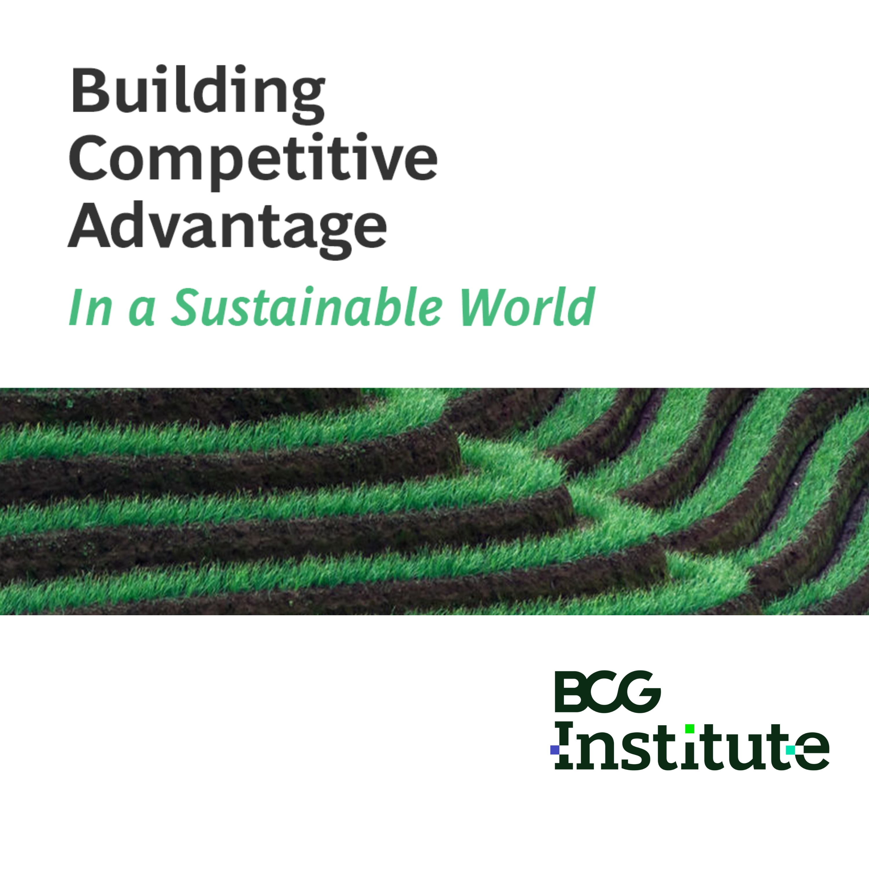 Building Competitive Advantage in a Sustainable World