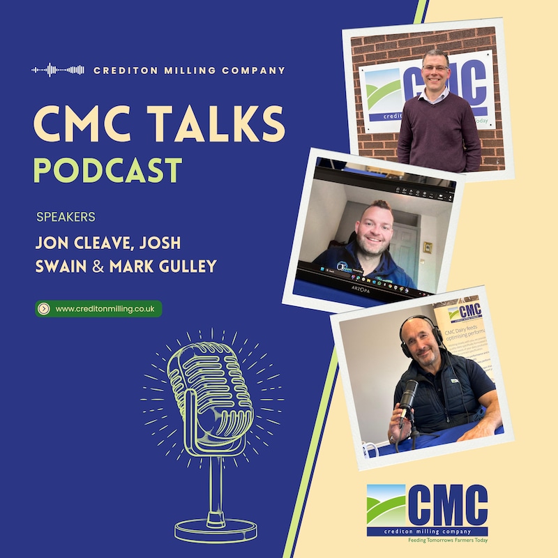 Artwork for podcast CMC Talks