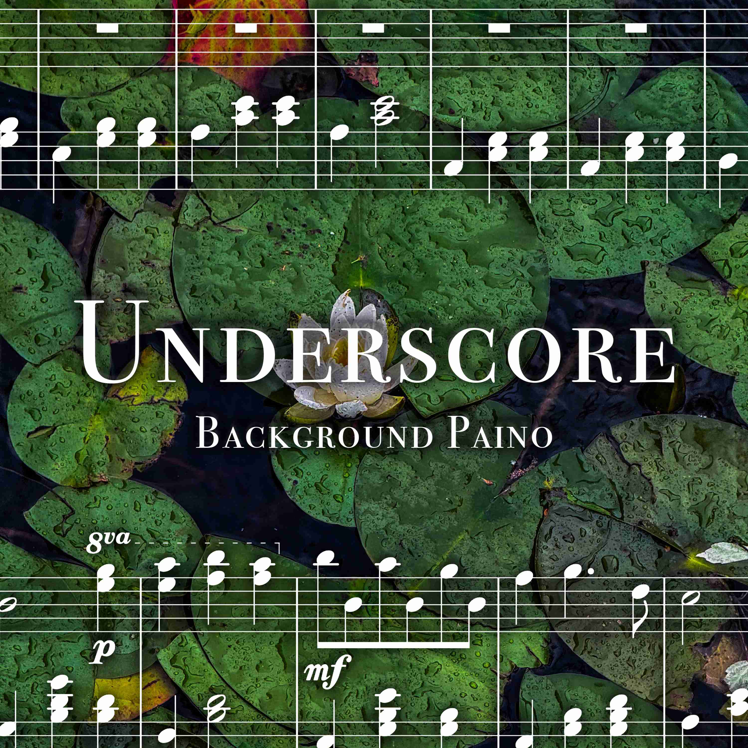 Background Piano with Gray Treefrogs - 4 Hours - "For Nights on End" episode artwork