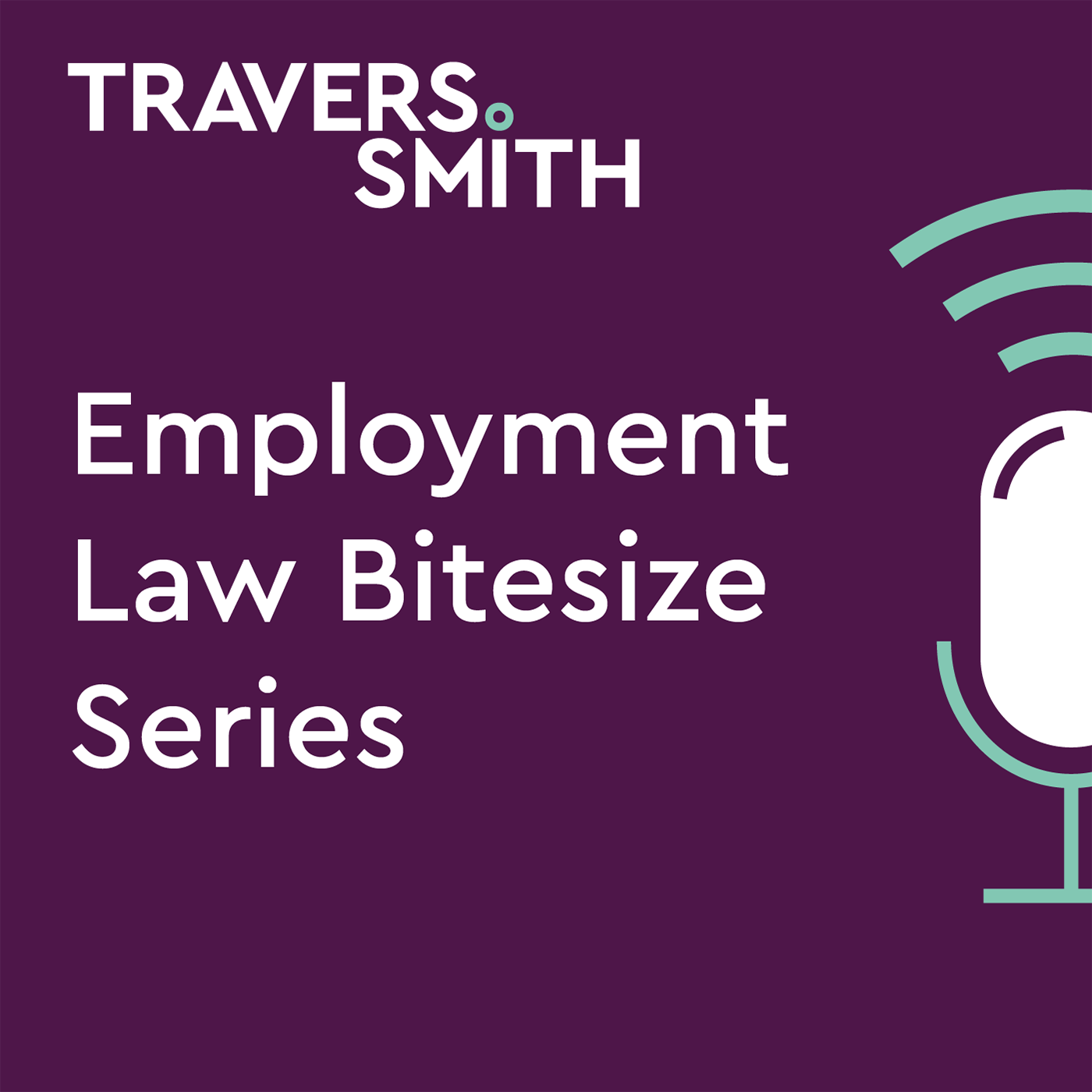 Artwork for podcast Employment Law Bitesize Series