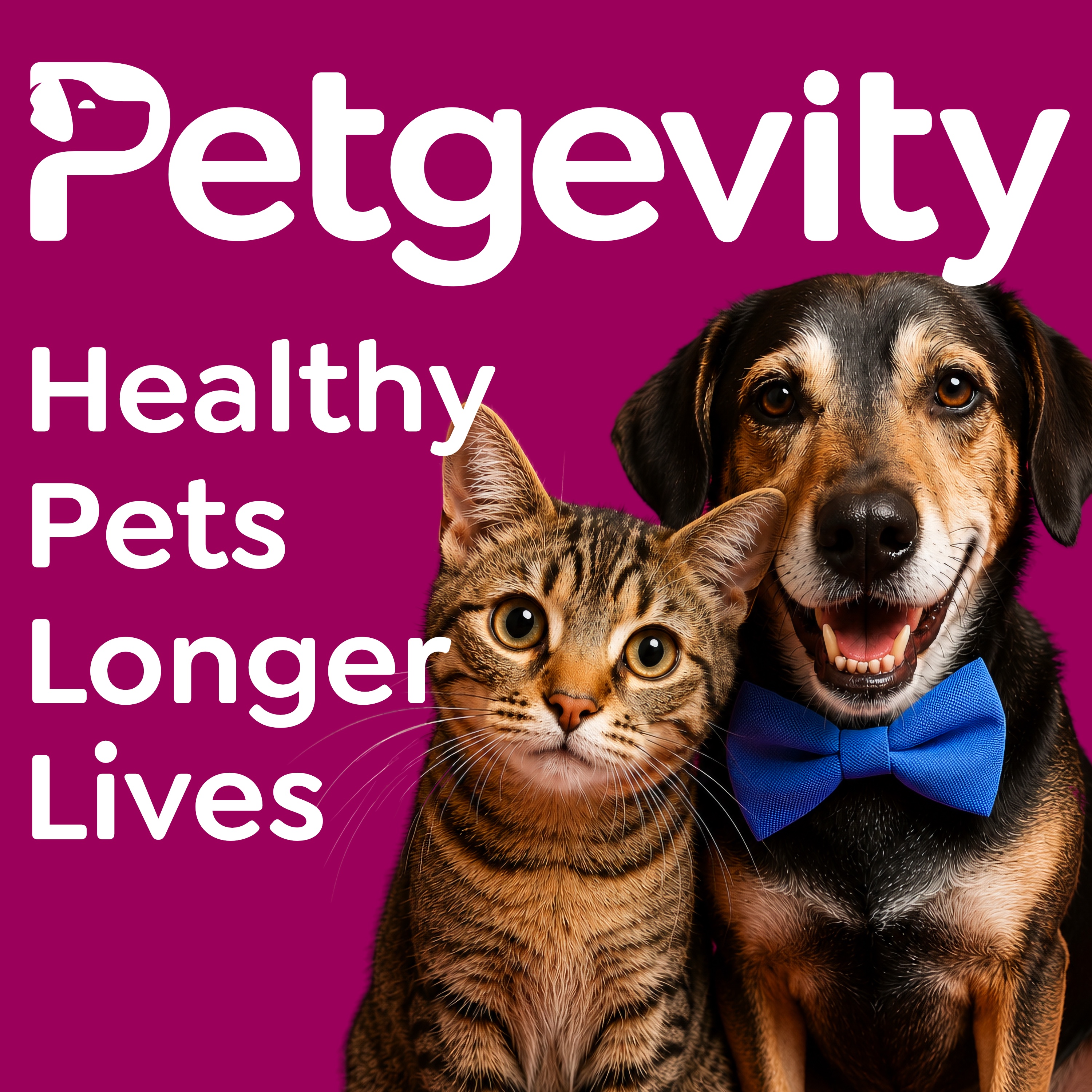 Petgevity podcast artwork