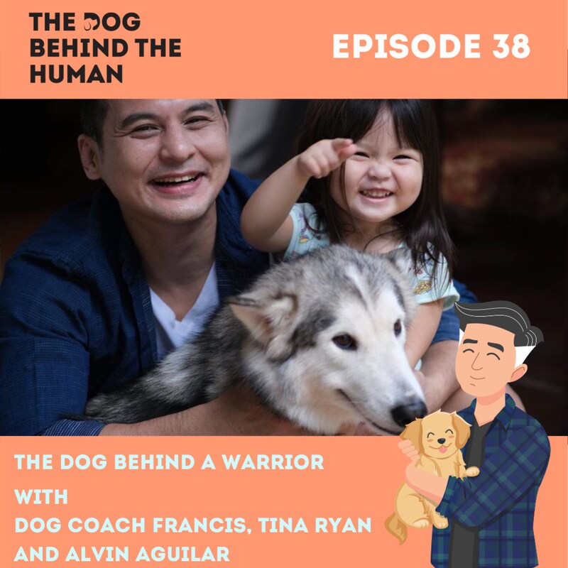 Artwork for podcast The Dog Behind The Human