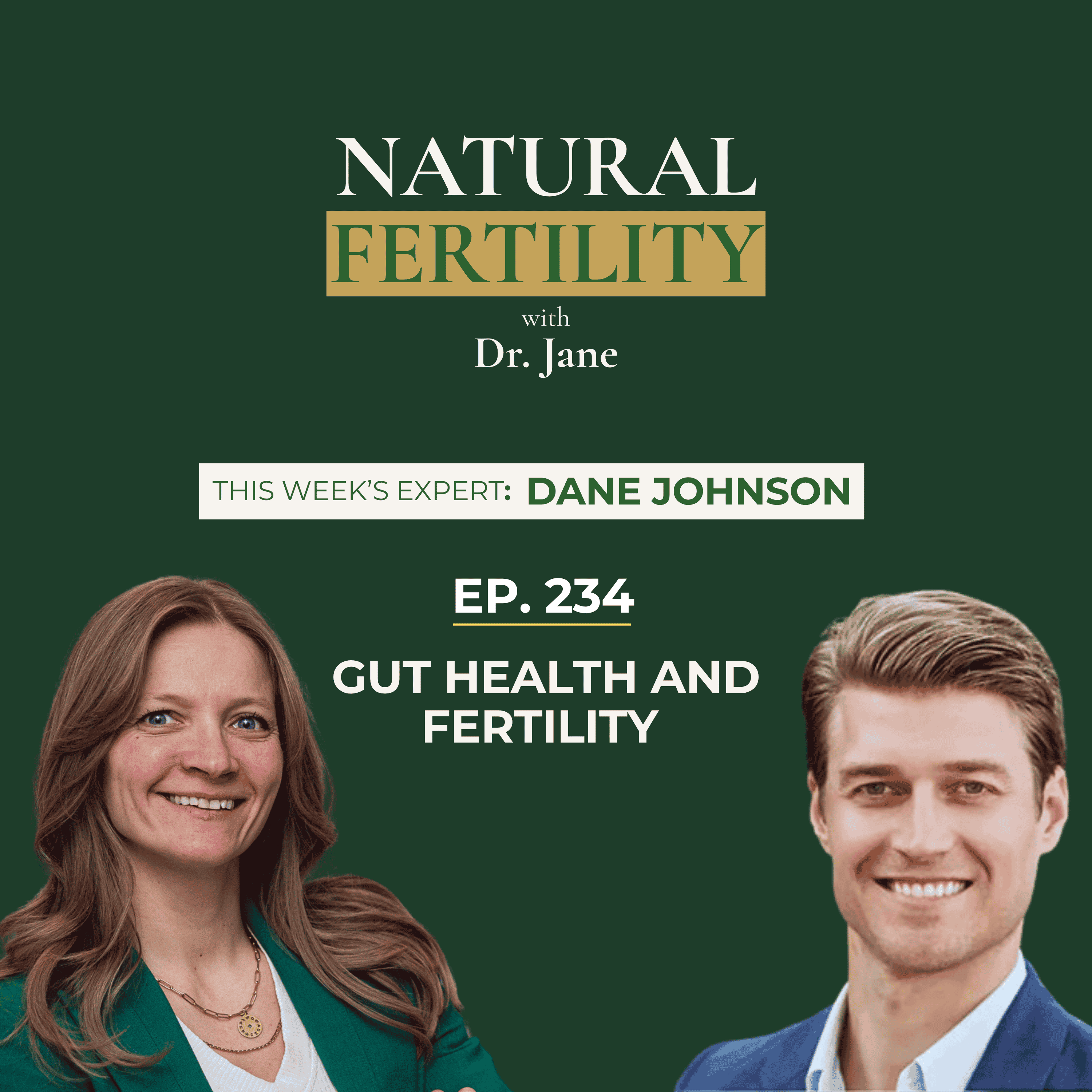 Ep.234: Gut Health and Fertility with Dane Johnson episode artwork