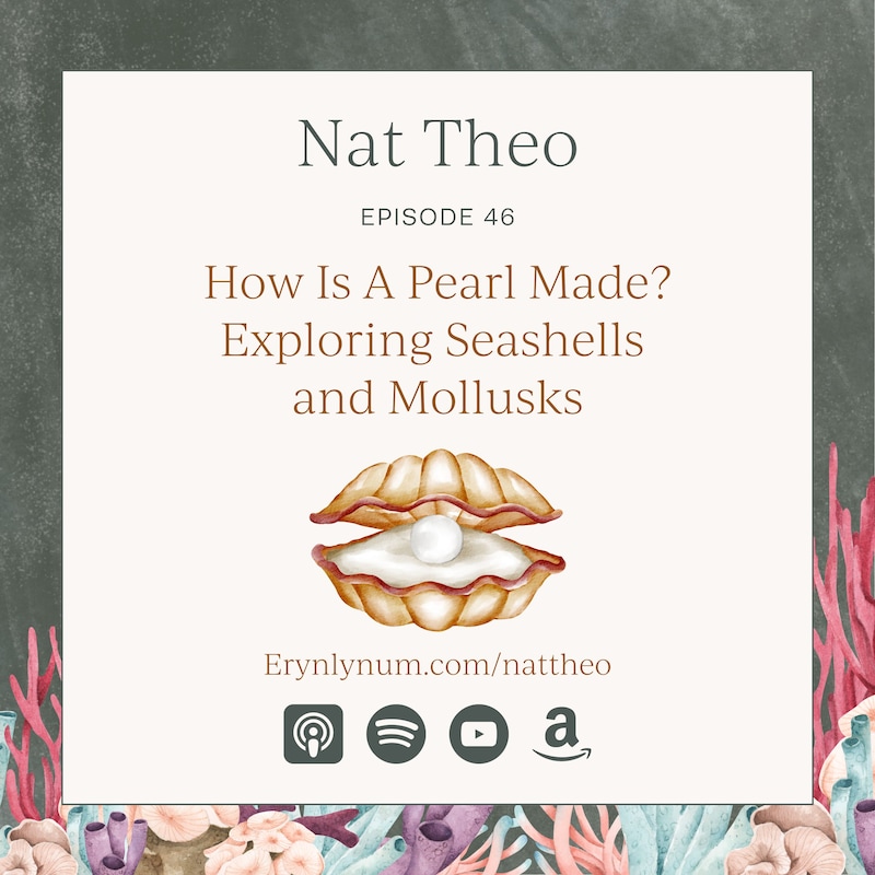 Artwork for podcast Nat Theo Nature Lessons Rooted in the Bible