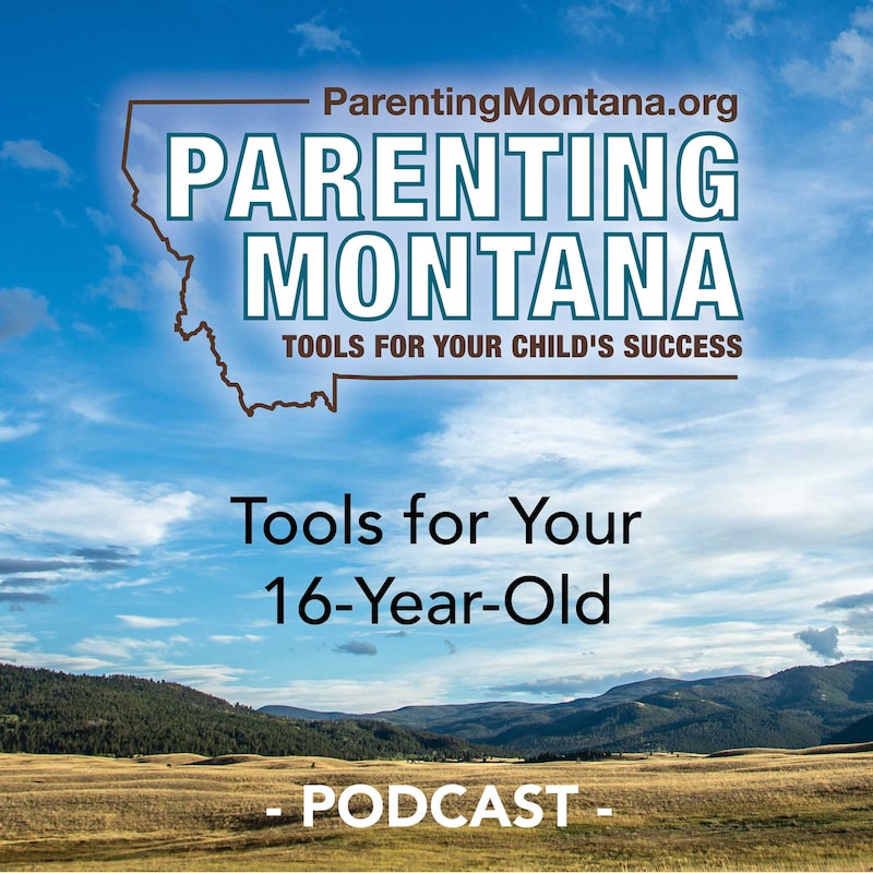 Artwork for podcast 16-Year-Old Parenting Montana Tools