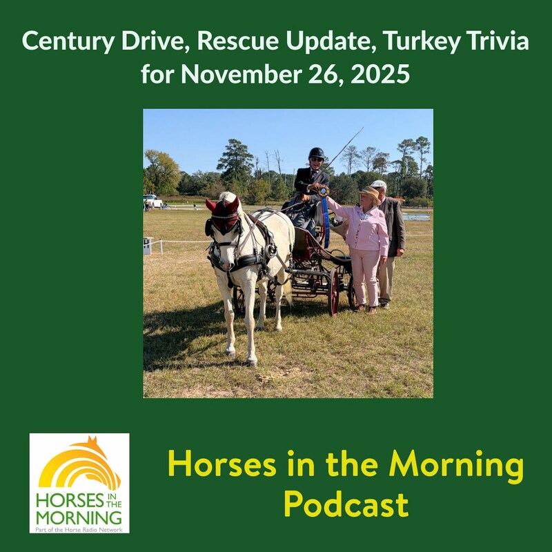 Artwork for podcast Horses in the Morning