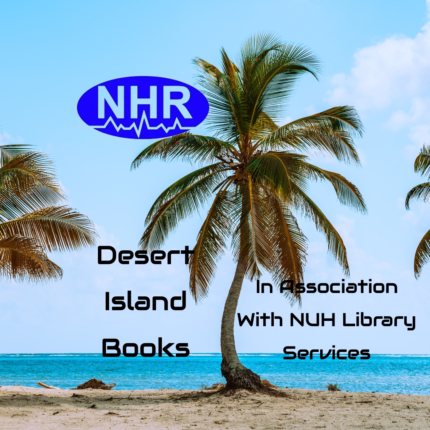 NHR Desert Island Books's artwork
