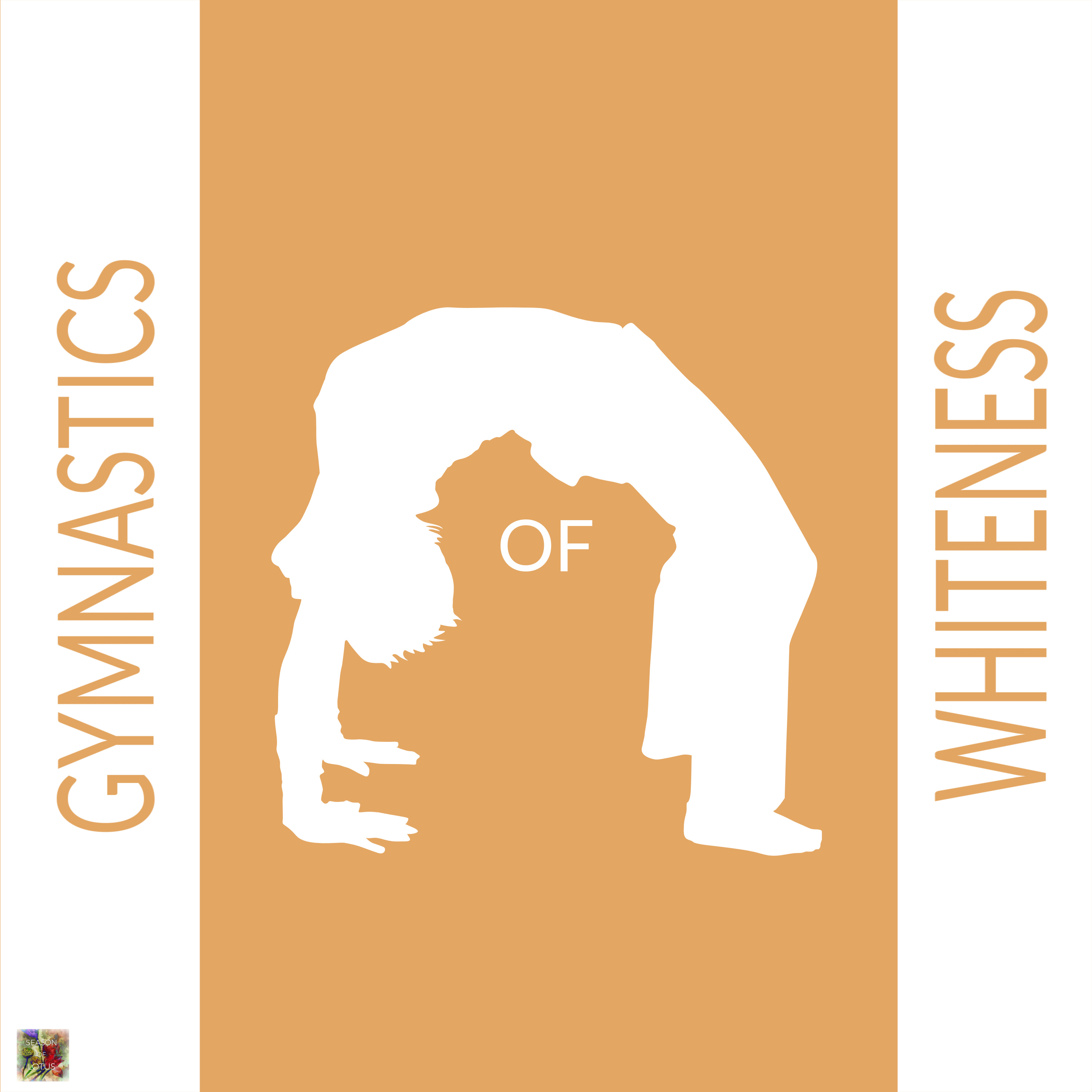 Artwork for Gymnastics of Whiteness