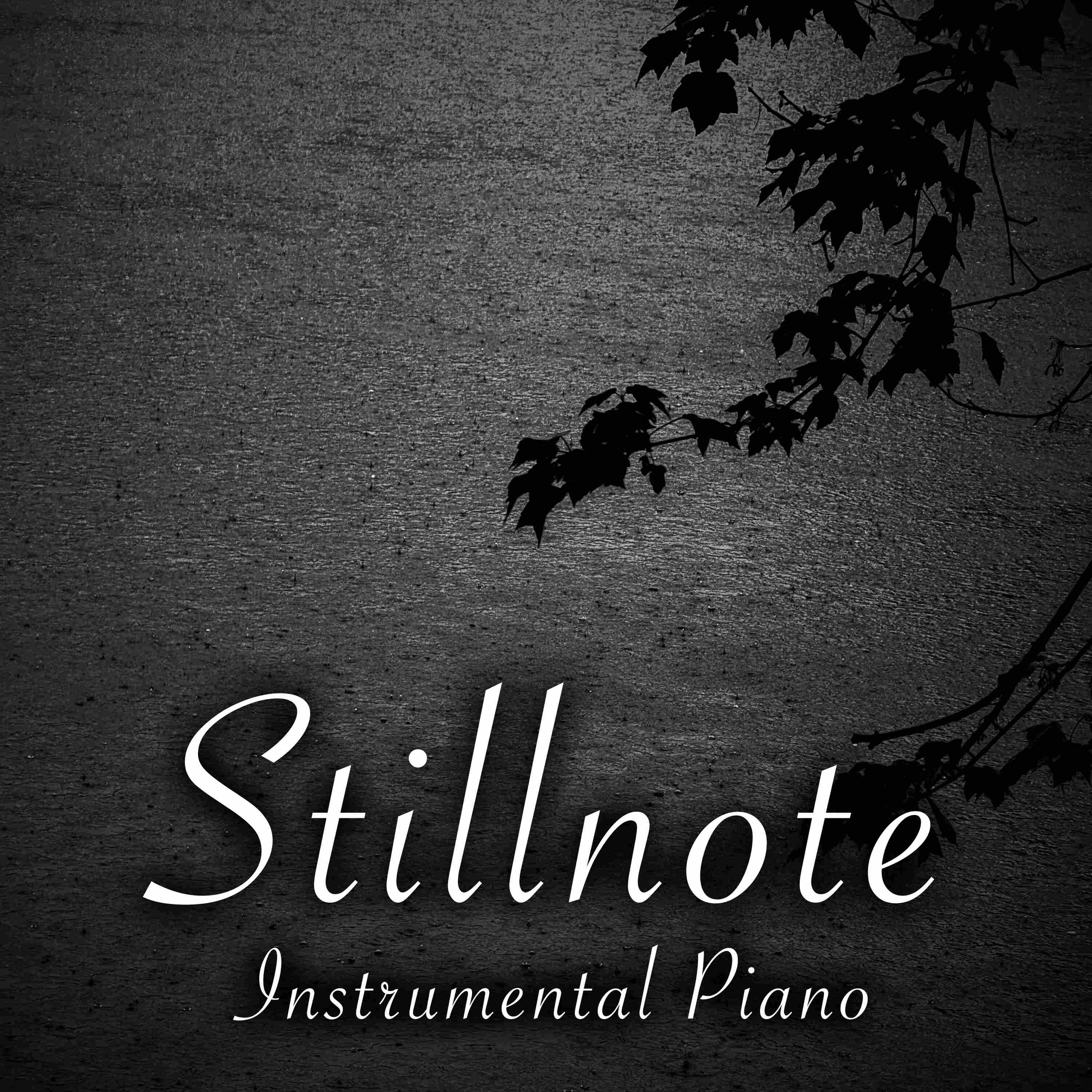 Piano for ADHD Study and Work with Distant Rain - 4 Hours - "For Nights on End" episode artwork