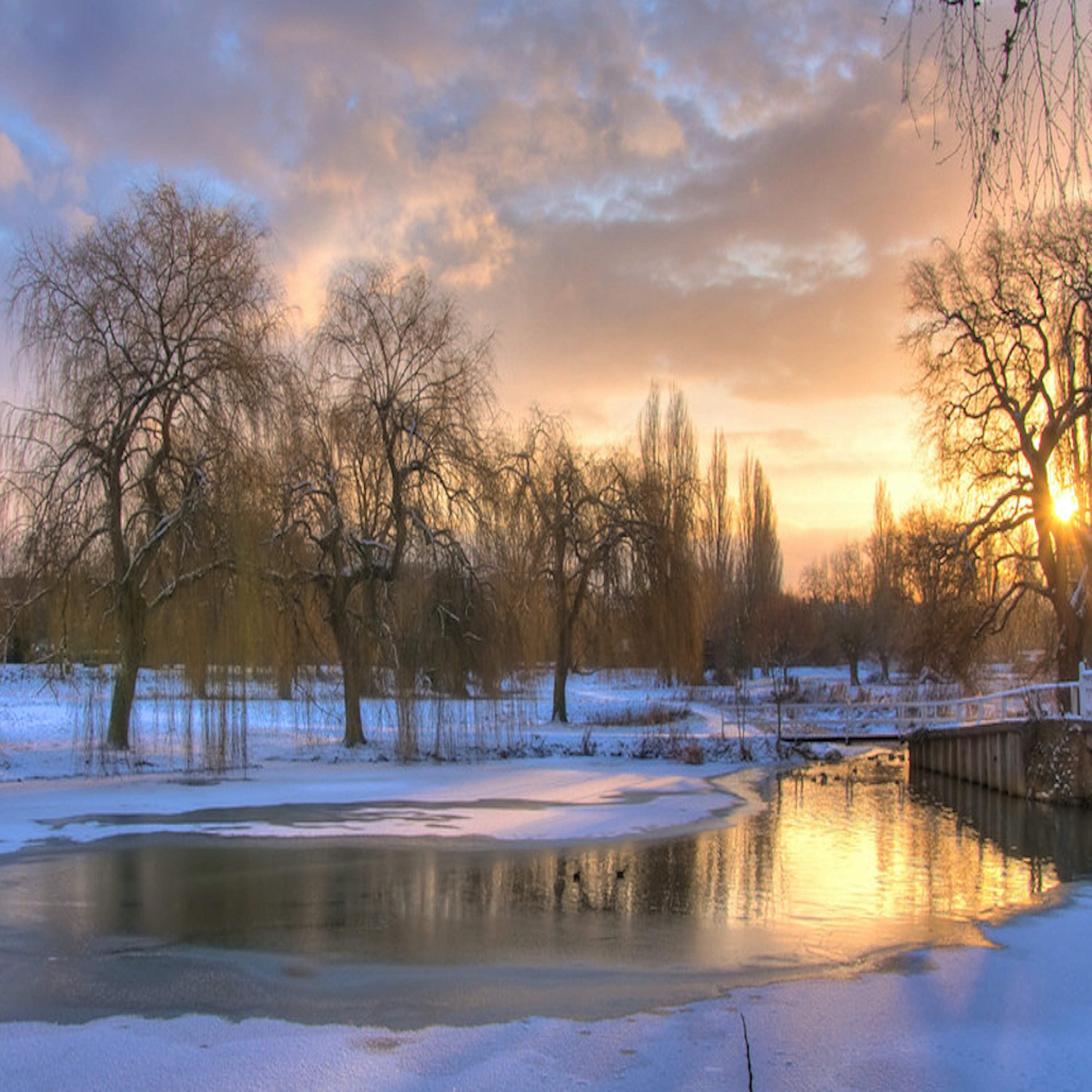 A Journey Through Nature: Our Winter Wildlife Adventure
